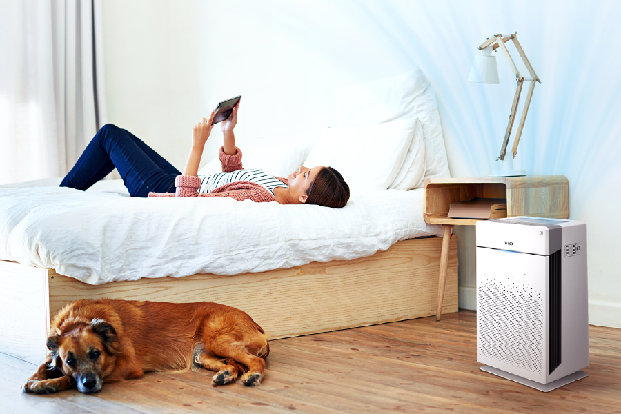 Woman and dog relaxing in bedroom with HR900 on floor