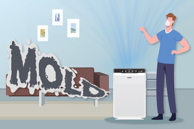 Winix Air Purifiers Healthy Home Appliances Improve Your Indoor Air