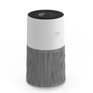 C610 Air purifier angled view